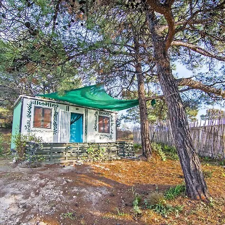 Holiday home Forest