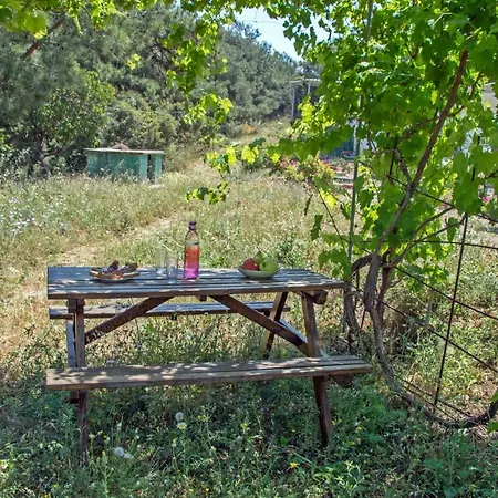 Forest Holiday home Theologos (Rhodes)